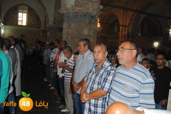 qerm ramla 3ed (26).JPG